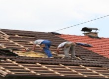 Kwikfynd Roof Conversions
thomasplain
